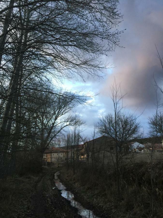 El Jardin De Manuela Villa Santibanez del Val Luaran gambar
