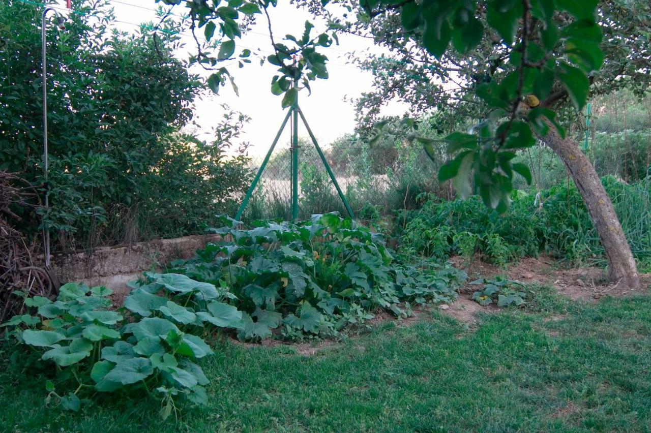 El Jardin De Manuela Villa Santibanez del Val Luaran gambar