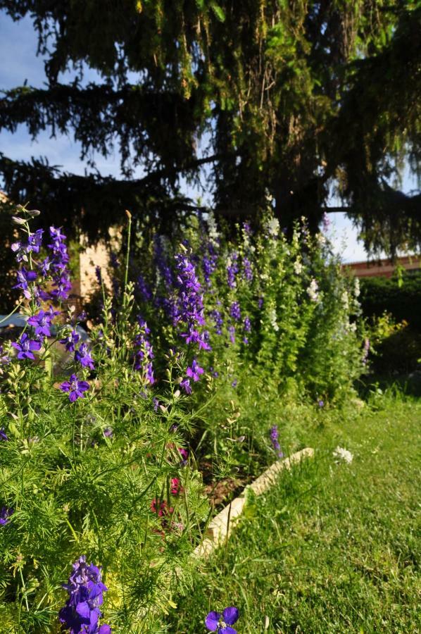 El Jardin De Manuela Villa Santibanez del Val Luaran gambar
